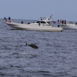 武蔵丸 釣果