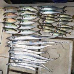 さぶろう丸 釣果