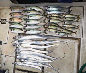 さぶろう丸 釣果