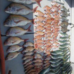 磯部釣船 直栄丸 釣果