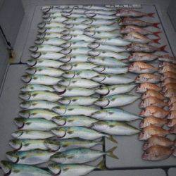 磯部釣船 直栄丸 釣果