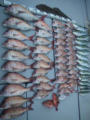 磯部釣船 直栄丸 釣果