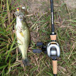 ダウンショットで38cm