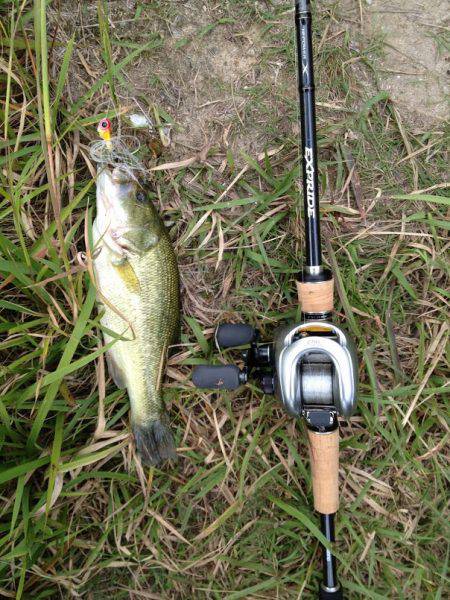 ダウンショットで38cm