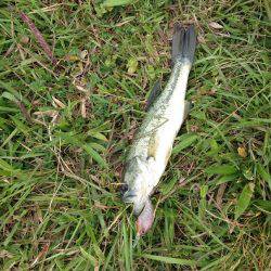 君ら小さいね〜