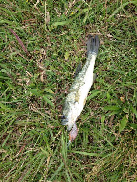 君ら小さいね〜