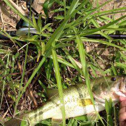 君ら小さいね〜