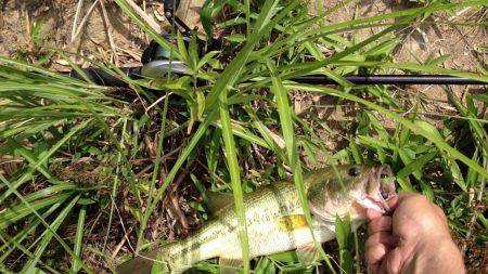 君ら小さいね〜