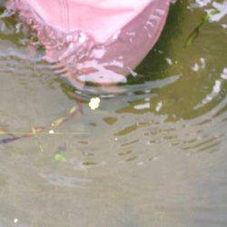 君ら小さいね〜