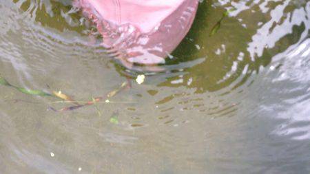 君ら小さいね〜