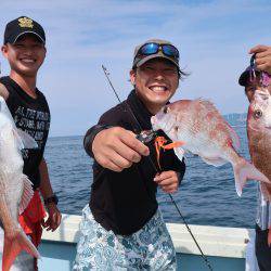 はらまる 釣果