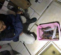 さぶろう丸 釣果