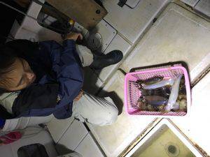 さぶろう丸 釣果