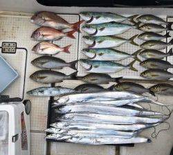 さぶろう丸 釣果