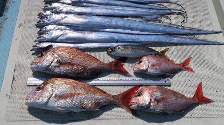 はらまる 釣果