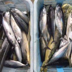 Sea Frend 片山丸 釣果