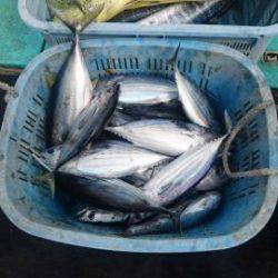 Sea Frend 片山丸 釣果