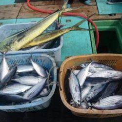 Sea Frend 片山丸 釣果