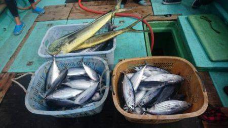 Sea Frend 片山丸 釣果