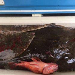 Sea Frend 片山丸 釣果