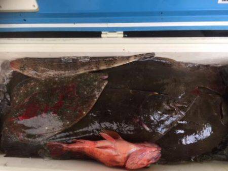 Sea Frend 片山丸 釣果