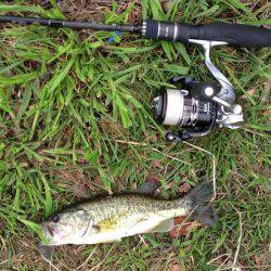 釣れたのでヨシ！