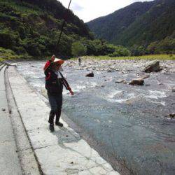 安倍川・藁科川(安倍藁科川漁業協同組合) 釣果