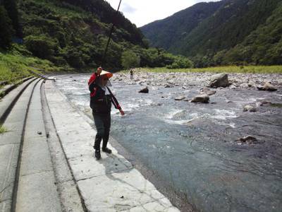 安倍川・藁科川(安倍藁科川漁業協同組合) 釣果