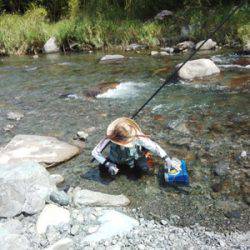 安倍川・藁科川（安倍藁科川漁業協同組合） 釣果