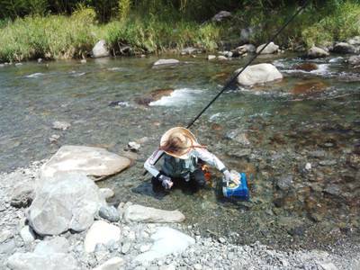 安倍川・藁科川（安倍藁科川漁業協同組合） …