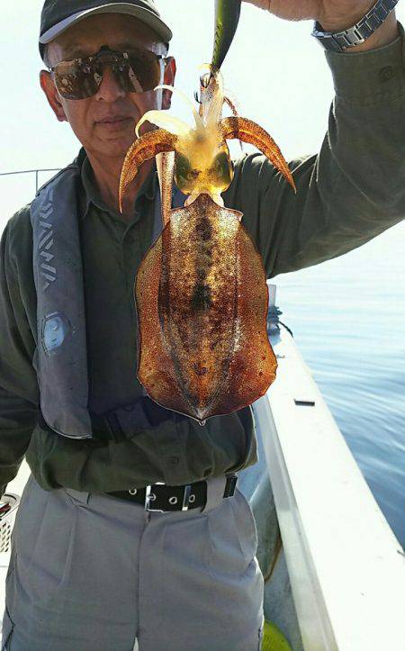 金剛丸 釣果