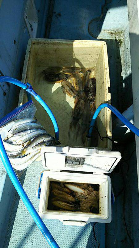 金剛丸 釣果