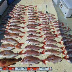 フィッシングガイド とちぎ 釣果