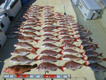 フィッシングガイド とちぎ 釣果