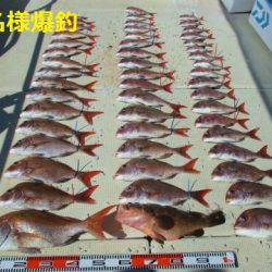 フィッシングガイド とちぎ 釣果