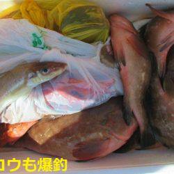 フィッシングガイド とちぎ 釣果