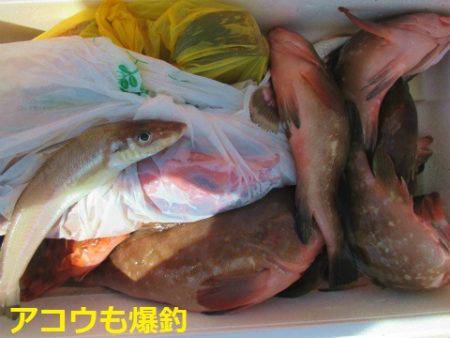 フィッシングガイド とちぎ 釣果