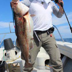 Aquanaut(アクアノート) 釣果