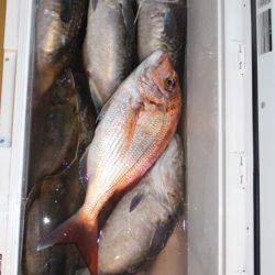 Aquanaut(アクアノート) 釣果