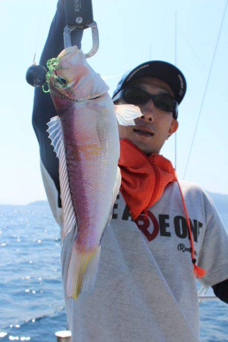 Aquanaut(アクアノート) 釣果