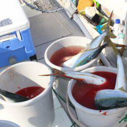 Aquanaut(アクアノート) 釣果