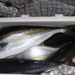 Aquanaut(アクアノート) 釣果