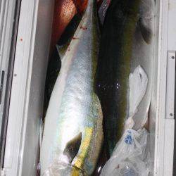 Aquanaut(アクアノート) 釣果