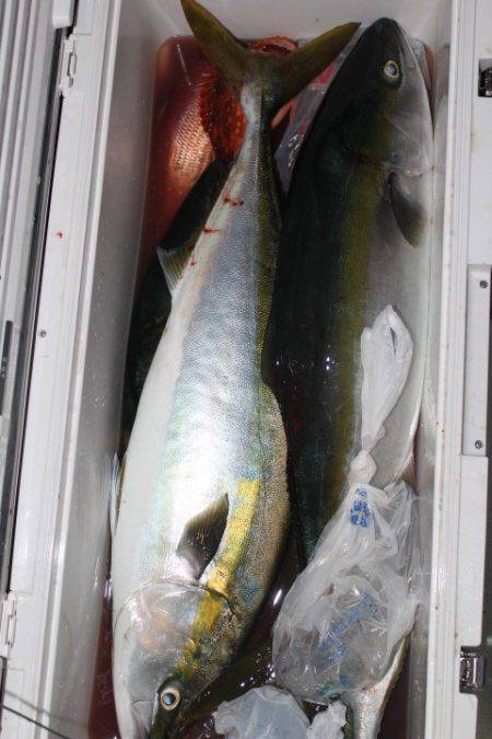 Aquanaut(アクアノート) 釣果