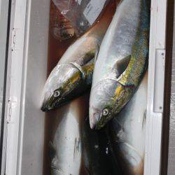 Aquanaut(アクアノート) 釣果