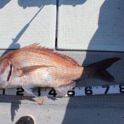 Aquanaut(アクアノート) 釣果