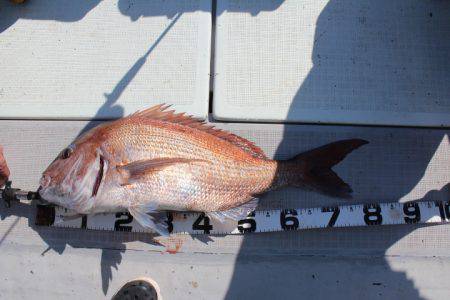 Aquanaut(アクアノート) 釣果