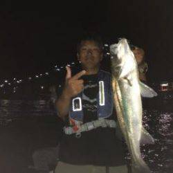 シーマジカル 釣果