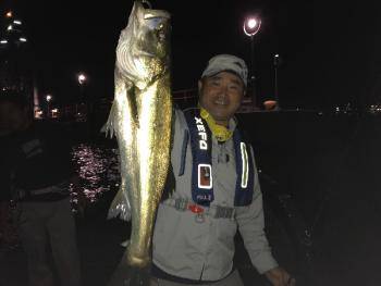 シーマジカル 釣果