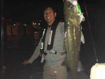 シーマジカル 釣果